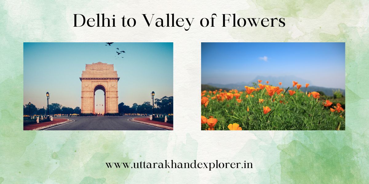 Delhi to Valley of flowers